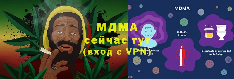 где найти   Далматово  блэк спрут как зайти  МДМА Molly 